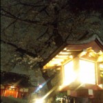 花園神社 花園神社