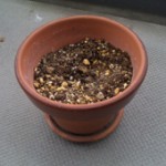 荒井浩之 荒井浩之