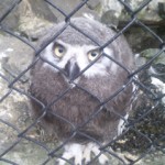 e381b5e3818fe3828de38186